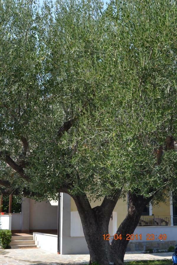 Oasi Peppa Villa Ascea Dış mekan fotoğraf